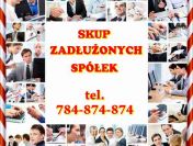 Zadłużona Spółka Zarządzanie Kryzysem Kontrole