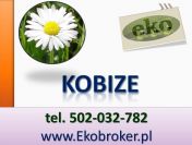 Kobize, 2015, tel 502-032-782, raport firmy, zgłoszenie Częstochowa