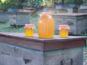Miod 6 zl/kg. Pozyskujemy ziolomiody, propolis, wosk. Gospodarstwa pszczelarskie