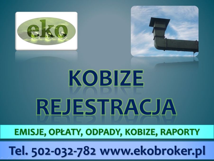 Kobize raport, tel 502-032-782, raporty firm do Kobize  - Zdjęcie 1