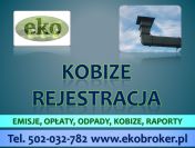 Kobize raport, tel 502-032-782, raporty firm do Kobize