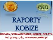 Kobize raport, tel 502-032-782, raporty firm do Kobize