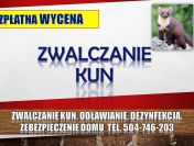 Pastuch na kuny, cena tel. 504-746-203. Kuna, ochrona budynku