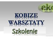 Szkolenie indywidualne BDO, Kobize, tel. 502-032-782 oraz opłaty za środowisko