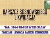 Likwidacja barszczu Sosnowskiego, t.504-746-203, utylizacja,usuwanie
