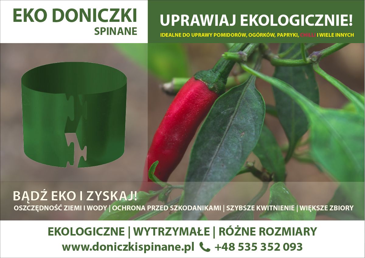 Ekologiczna uprawa Warzyw – Doniczki Spinane Nysa - Zdjęcie 1