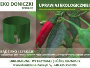 Ekologiczna uprawa Warzyw – Doniczki Spinane
