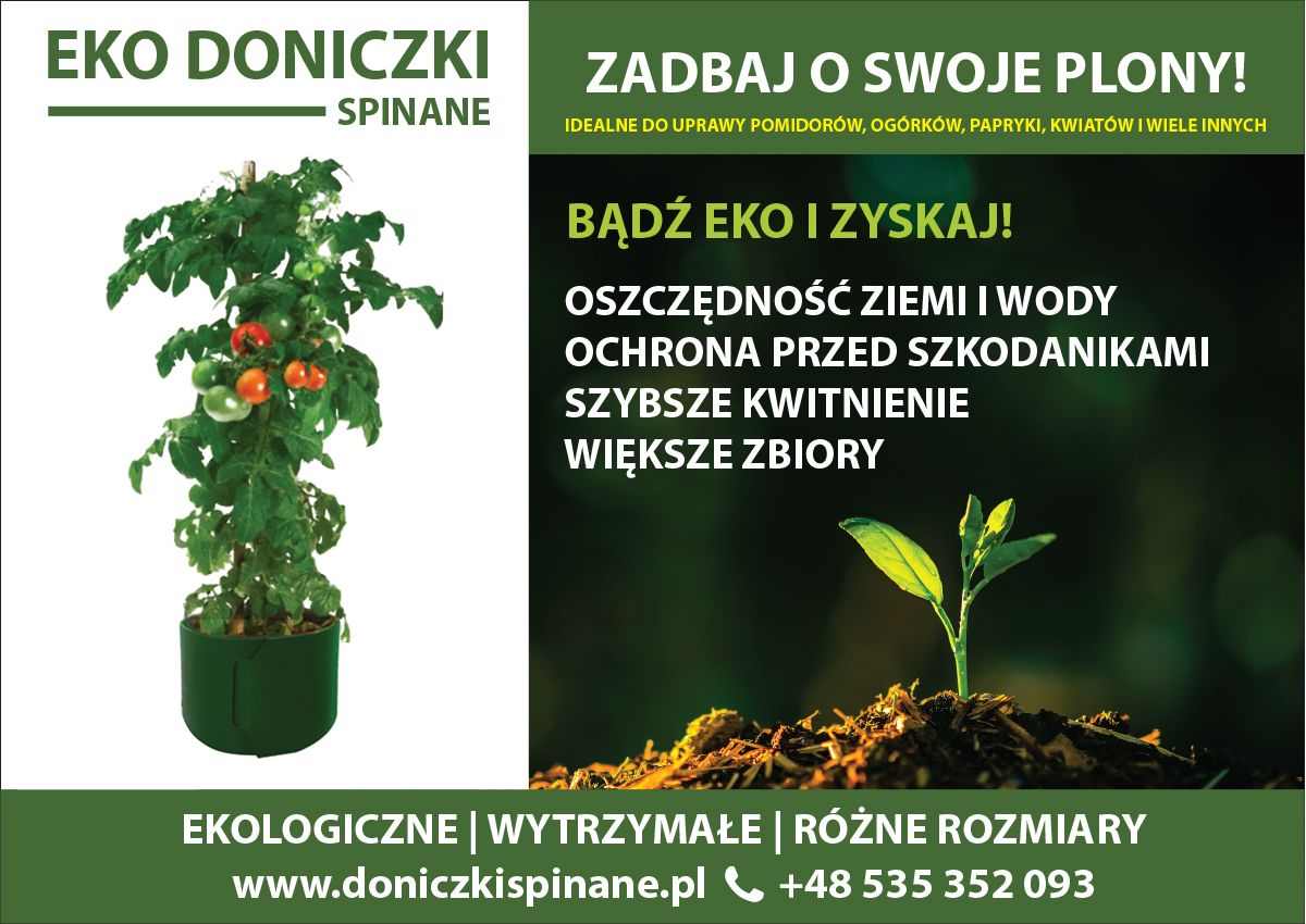 Doniczki bez dna do uprawy Pomidorów Bolesławiec - Zdjęcie 1