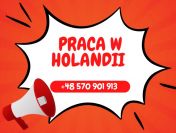 Zatrudnimy pracowników przetwórstwa drobiu do pracy w Holandii