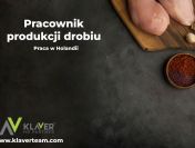 Praca za granicą- Pracownik produkcji drobiu- praca od zaraz!