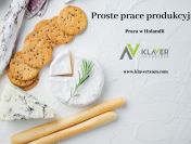 Praca za granicą Holandia - praca na produkcji- od zaraz!