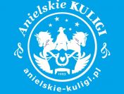 Rodzinne kuligi w Wiśle – tradycja, konie i ognisko!