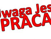 Praca w Holandii - Sortowanie paczek kurierskich