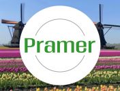 Pracownik pakowania dywanów - wysokie tygodniówki - praca w Holandii