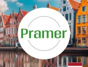 Pracownik szklarni - papryka | bez języka - praca w Holandii