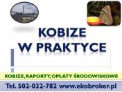 Szkolenie z raportu Kobize, tel 502-032-782, Kobize ćwiczenia, termin