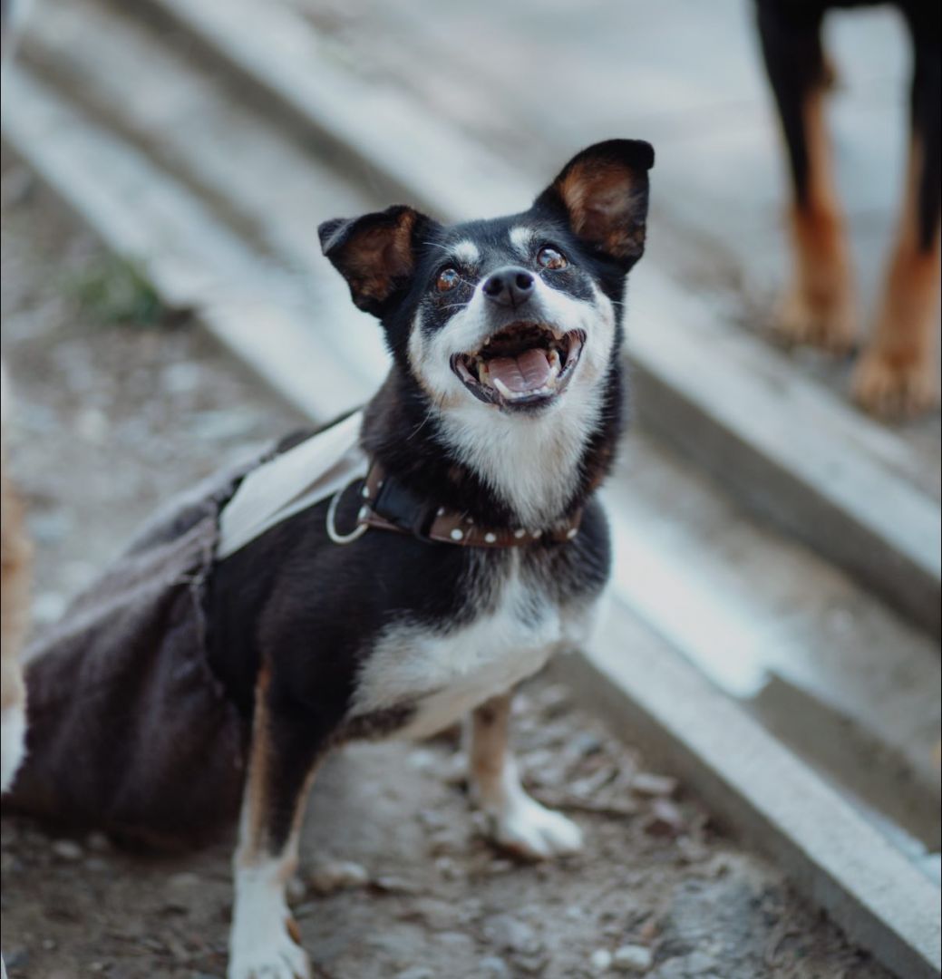 Natka - mała wojowniczka o wielkim sercu!  - Obraz nr 2