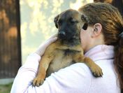 5 miesięczna Tina szczeniak szuka domu!