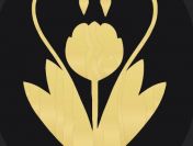 Profesjonalne zabiegi kosmetyczne – pielęgnacja i relaks