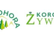 Korona Żywca – pełnia relaksu i regeneracji w górach