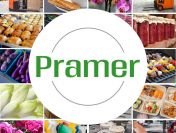 Pracownik przy zbiorze pieczarek - praca w Holandii