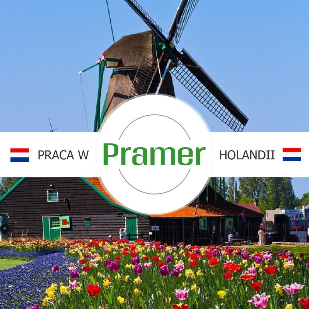 Produkcja wyrobów plastikowych - praca w Holandii  - Zdjęcie 1