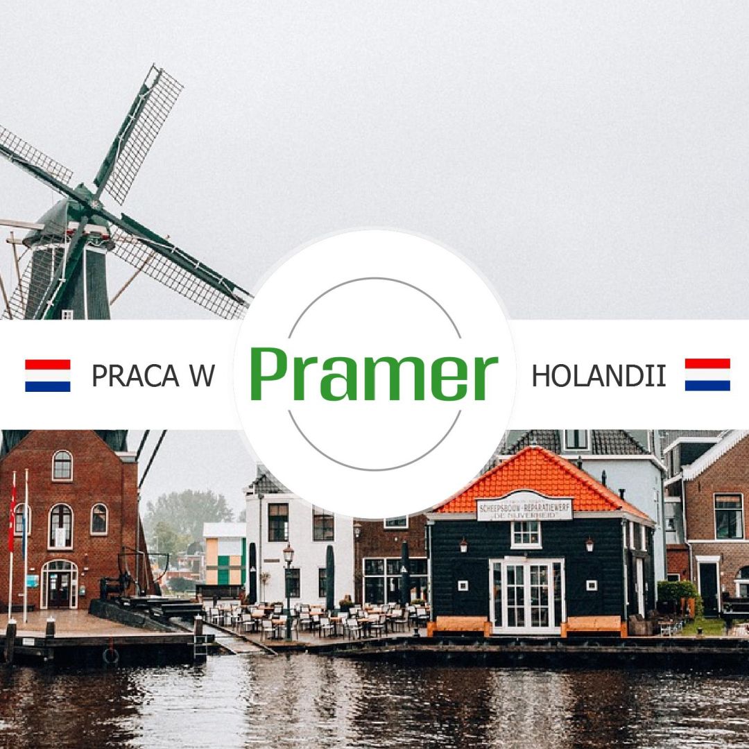 Pracownik produkcji / działu ekspedycji - praca w Holandii  - Zdjęcie 1