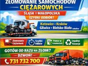 Kasacja, złomowanie ciężarówek. Odbiór we wskazanym miejscu