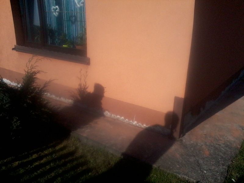 Drenaż, izolacje i osuszanie piwnicy oraz fundamentów Bielsko-Biała - Zdjęcie 1