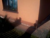 Drenaż, izolacje i osuszanie piwnicy oraz fundamentów