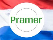 Pracownik szklarni z papryką (Nl, Marknesse)