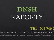 Wykonanie raportu, sprawozdania DNSH, cena, ochrona środowiska