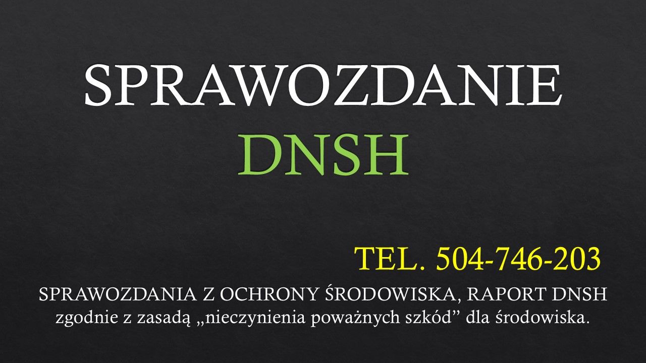 Przygotowanie sprawozdania, raportu, DHSH, cena, ochrona środowiska  - Zdjęcie 1