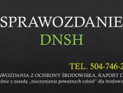 Przygotowanie sprawozdania, raportu, DHSH, cena, ochrona środowiska