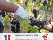 WINOBRANIE 2026