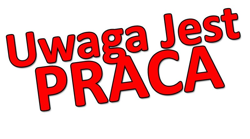 Pracownik produkcji / Order Picker / Pracownik magazynu - Holandia  - Zdjęcie 1