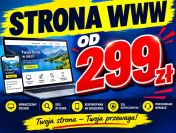 Twoja firma w internecie za jedyne 299 zł